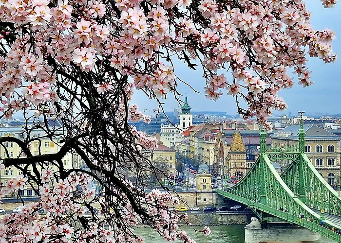 The Spot With Green Chair - Cozy Space Near Danube